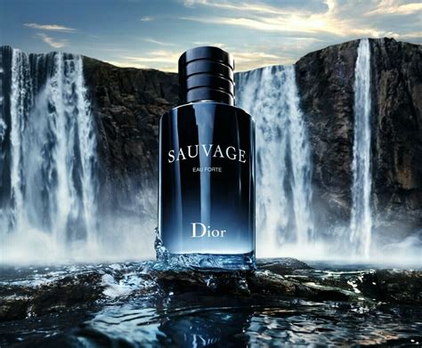 iva santagata caleca dior|sauvage eau forte dior.